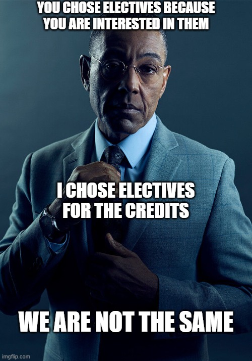Gotta Get Credits |  YOU CHOSE ELECTIVES BECAUSE YOU ARE INTERESTED IN THEM; I CHOSE ELECTIVES FOR THE CREDITS; WE ARE NOT THE SAME | image tagged in gus fring we are not the same,high school,school,electives,we are not the same,gus fring | made w/ Imgflip meme maker