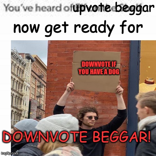 Make this the most downvoted meme | upvote beggar; now get ready for; DOWNVOTE IF YOU HAVE A DOG; DOWNVOTE BEGGAR! | image tagged in downvote,no upvotes,only downvotes,hahhahaha | made w/ Imgflip meme maker