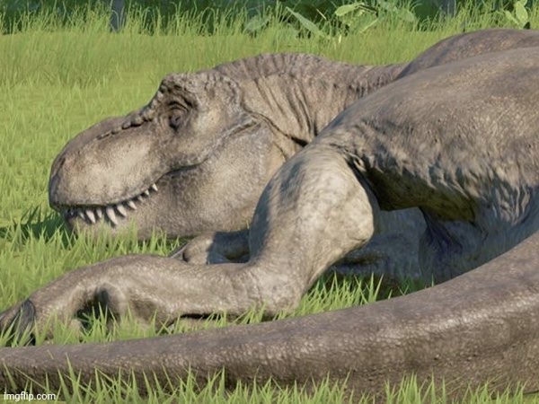 Shhhh..... She's asleep | image tagged in sleeping t rex | made w/ Imgflip meme maker