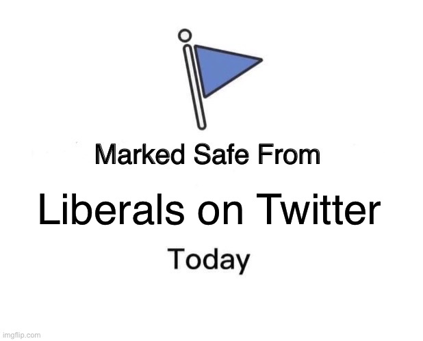 Today Twitter, tomorrow ImgFlip! |  Liberals on Twitter | image tagged in twitter,elon musk,imgflip,liberals,coming soon | made w/ Imgflip meme maker