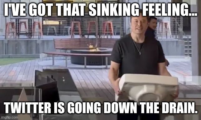 supertwit | I'VE GOT THAT SINKING FEELING... TWITTER IS GOING DOWN THE DRAIN. | image tagged in elon musk,twitter | made w/ Imgflip meme maker