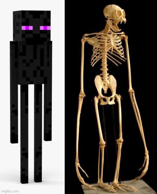 Spooky enderman | image tagged in gaming,minecraft,spooky,scary,skeleton | made w/ Imgflip meme maker