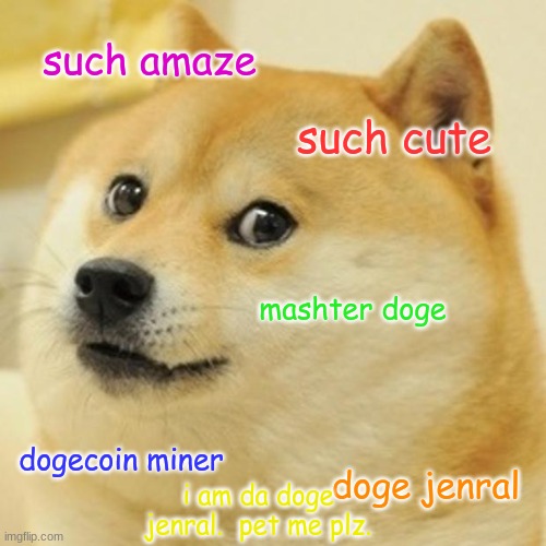 Doge Meme | such amaze; such cute; mashter doge; dogecoin miner; doge jenral; i am da doge jenral.  pet me plz. | image tagged in memes,doge | made w/ Imgflip meme maker