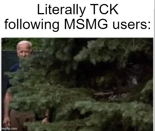 damn stalker | Literally TCK following MSMG users: | made w/ Imgflip meme maker