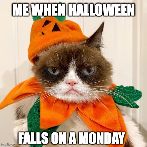 When Halloween Falls on a Monday | ME WHEN HALLOWEEN; FALLS ON A MONDAY | image tagged in grumpy cat halloween,halloween,grumpy cat,cat,pumpkin | made w/ Imgflip meme maker
