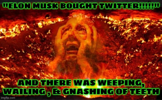 "ELON MUSK BOUGHT TWITTER!!!!!" AND THERE WAS WEEPING, WAILING , & GNASHING OF TEETH | made w/ Imgflip meme maker