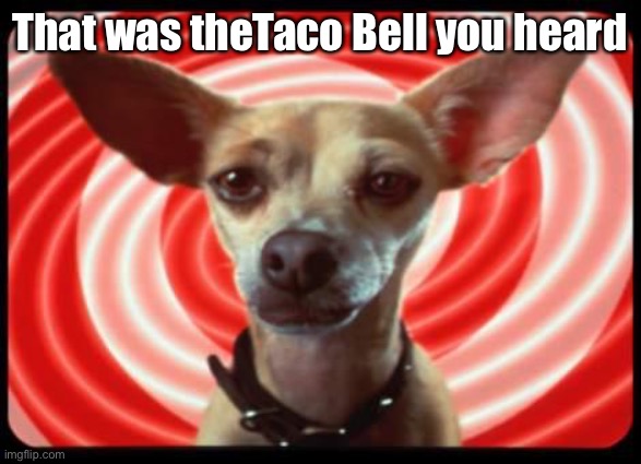 taco bell dog | That was theTaco Bell you heard | image tagged in taco bell dog | made w/ Imgflip meme maker