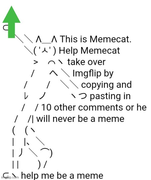 Help him | image tagged in memecat | made w/ Imgflip meme maker