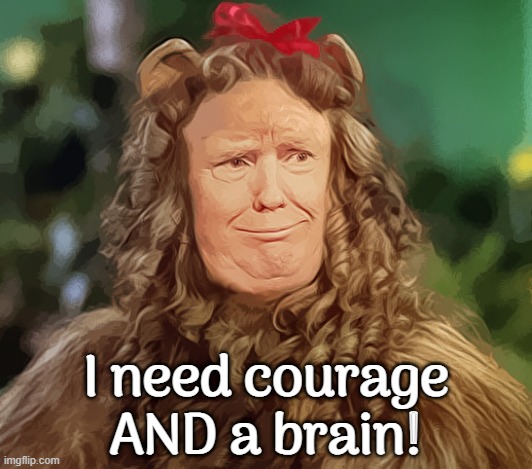 the truth shall set you free, Coward | I need courage AND a brain! | image tagged in brain dead,cowardly lion,there's no brain here,scaredy cat,pathetic,bully | made w/ Imgflip meme maker