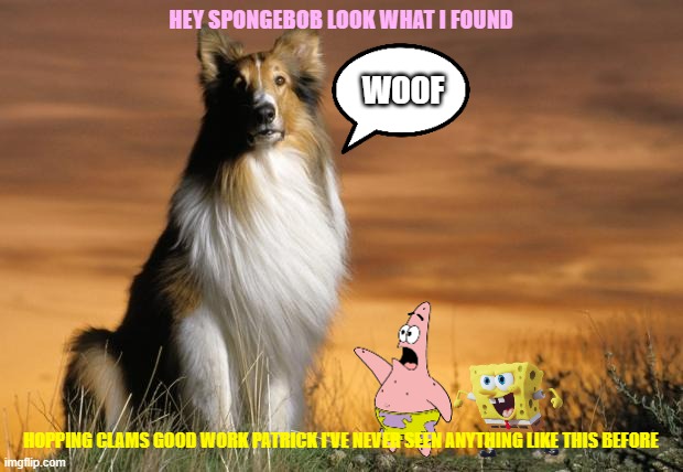 spongebob meets lassie | HEY SPONGEBOB LOOK WHAT I FOUND; WOOF; HOPPING CLAMS GOOD WORK PATRICK I'VE NEVER SEEN ANYTHING LIKE THIS BEFORE | image tagged in lassie,spongebob,paramount,nickelodeon,crossover,dogs | made w/ Imgflip meme maker
