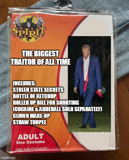 Spirit Halloween | THE BIGGEST TRAITOR OF ALL TIME; INCLUDES:
STOLEN STATE SECRETS
BOTTLE OF KETCHUP
ROLLED UP BILL FOR SNORTING
(COCAINE & ADDERALL SOLD SEPARATELY)
CLOWN MAKE-UP
STRAW TOUPEE | image tagged in spirit halloween | made w/ Imgflip meme maker