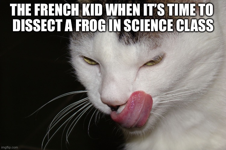 Yum |  THE FRENCH KID WHEN IT’S TIME TO 
DISSECT A FROG IN SCIENCE CLASS | image tagged in yummy | made w/ Imgflip meme maker
