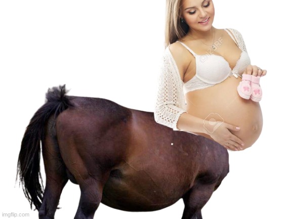 Pregnant Centaur | image tagged in pregnant woman,centaur,pregnant horse | made w/ Imgflip meme maker