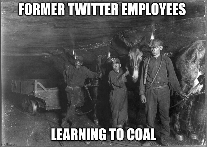 twitter | FORMER TWITTER EMPLOYEES; LEARNING TO COAL | image tagged in surprised coala | made w/ Imgflip meme maker