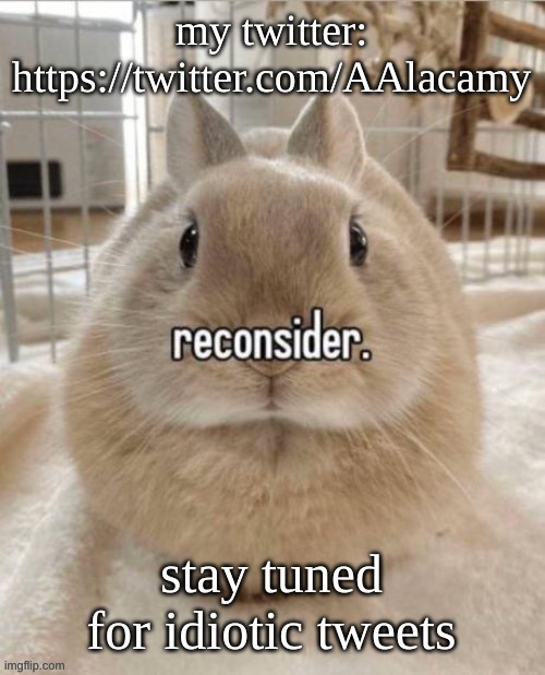 reconsider | my twitter: https://twitter.com/AAlacamy; stay tuned for idiotic tweets | image tagged in reconsider | made w/ Imgflip meme maker