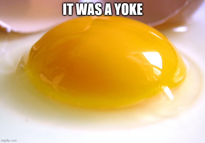 egg yoke | IT WAS A YOKE | image tagged in egg yoke | made w/ Imgflip meme maker