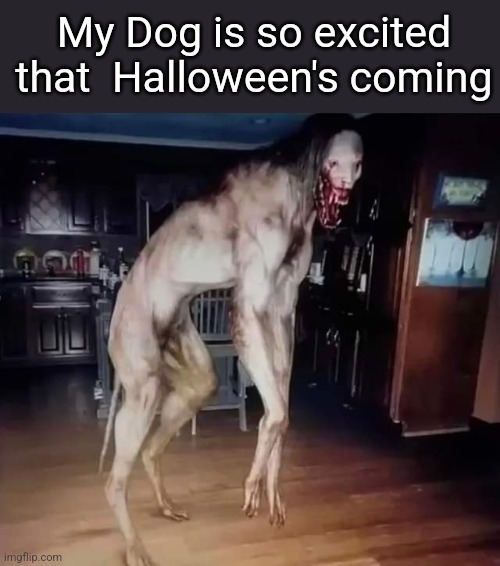 Scary boy | My Dog is so excited that  Halloween's coming | image tagged in scary,dogs,halloween is coming,spooky month | made w/ Imgflip meme maker