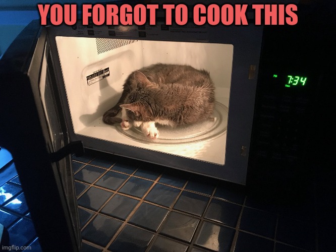 It's f#%&ing raw! | YOU FORGOT TO COOK THIS | image tagged in instant,chinese food,meow,its fricking raw | made w/ Imgflip meme maker