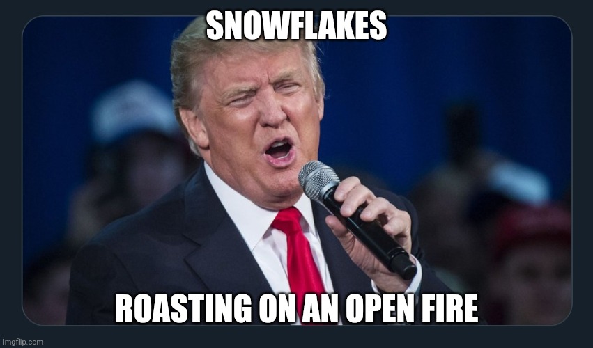 Melting Snowflakes | SNOWFLAKES; ROASTING ON AN OPEN FIRE | image tagged in snowflake,snowflakes,funny,funny memes,memes,meme | made w/ Imgflip meme maker