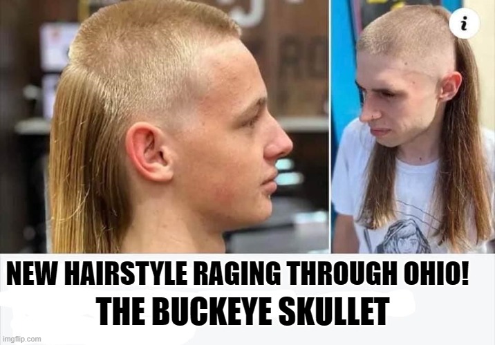 ohio state | NEW HAIRSTYLE RAGING THROUGH OHIO! THE BUCKEYE SKULLET | image tagged in ohio state buckeyes,funny | made w/ Imgflip meme maker