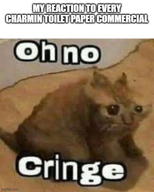 oH nO cRInGe | MY REACTION TO EVERY CHARMIN TOILET PAPER COMMERCIAL | image tagged in oh no cringe,commercials,toilet humor,iceu,funny,memes | made w/ Imgflip meme maker