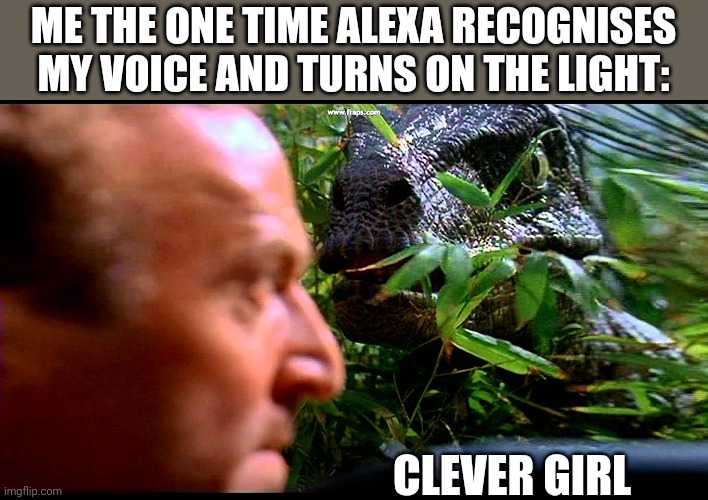 W.I.P | ME THE ONE TIME ALEXA RECOGNISES MY VOICE AND TURNS ON THE LIGHT:; CLEVER GIRL | image tagged in raptor clever girl | made w/ Imgflip meme maker