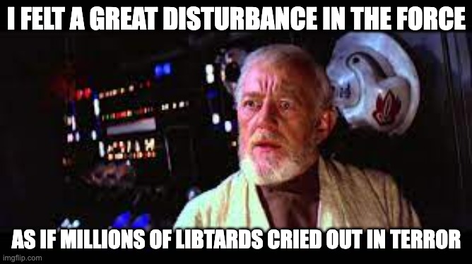 Liberals mad at more free speech on twitter | I FELT A GREAT DISTURBANCE IN THE FORCE; AS IF MILLIONS OF LIBTARDS CRIED OUT IN TERROR | image tagged in obi wan kenobi | made w/ Imgflip meme maker