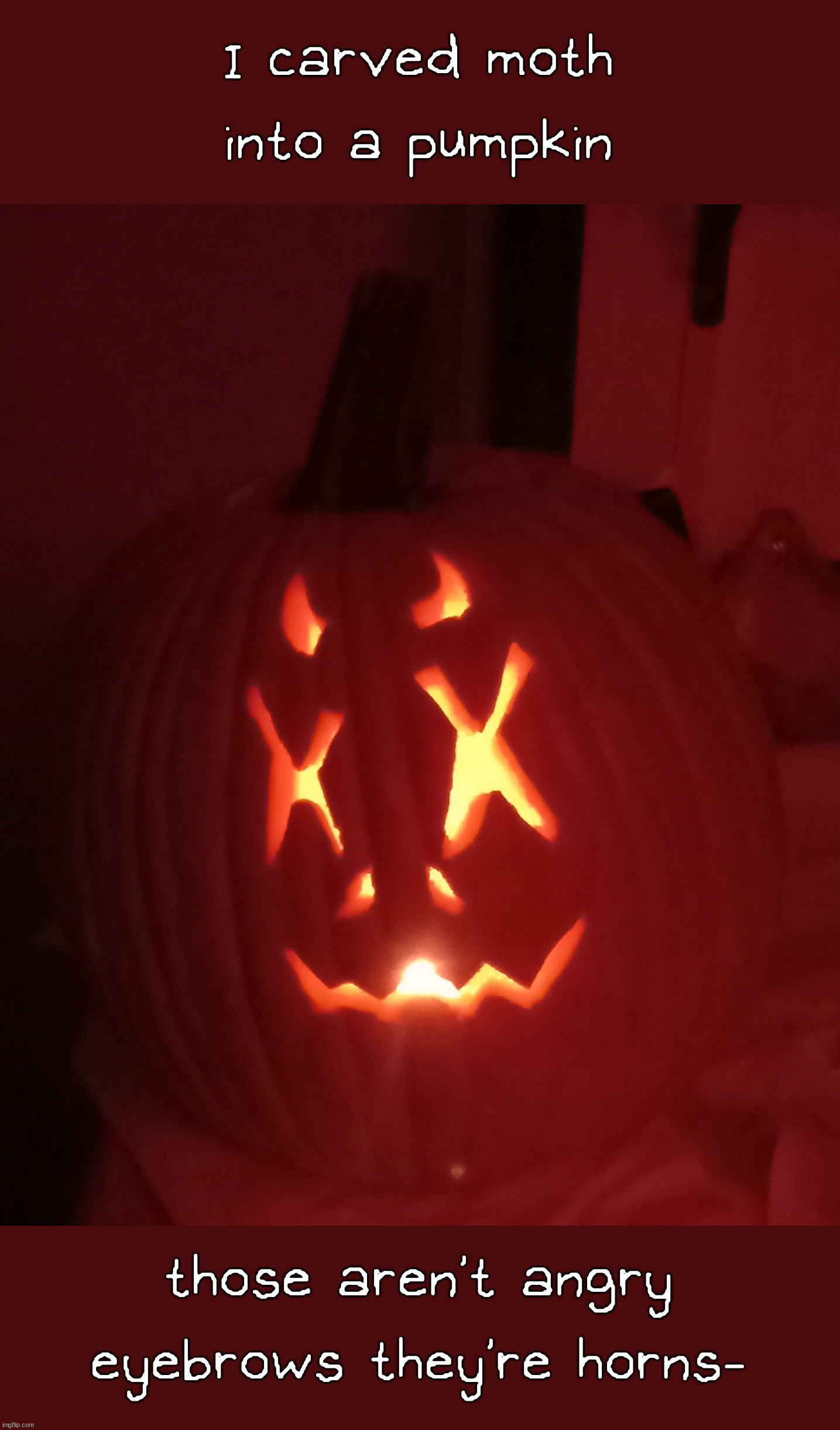 Moth_pumpkin.png | I carved moth into a pumpkin; those aren't angry eyebrows they're horns- | image tagged in furry,pumpkins,halloween | made w/ Imgflip meme maker