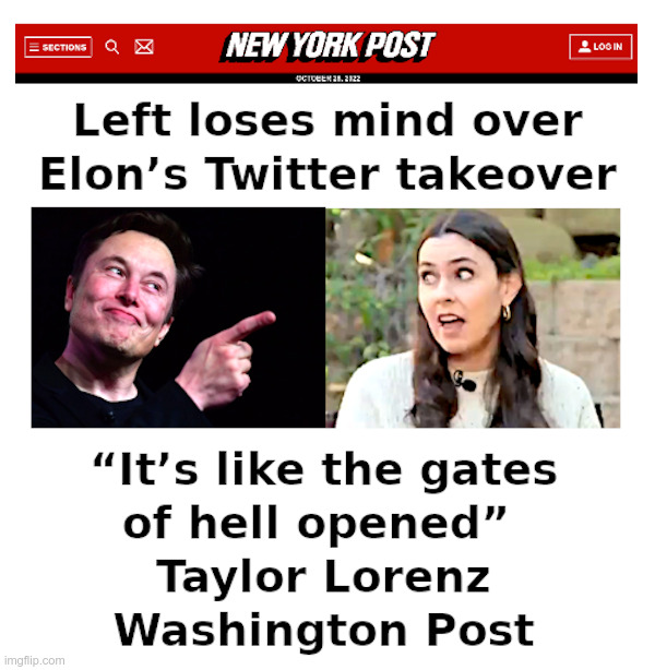 The Left Loses It's Mind, Again | image tagged in elon musk,elon musk buying twitter,taylor lorenz,washington post,what the hell is this,triggered liberal | made w/ Imgflip meme maker