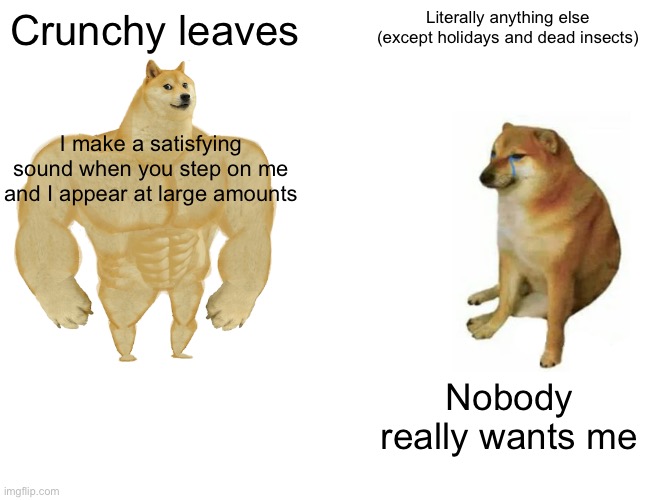 Crunchy leaves Literally anything else (except holidays and dead insects) I make a satisfying sound when you step on me and I appear at larg | image tagged in memes,buff doge vs cheems | made w/ Imgflip meme maker