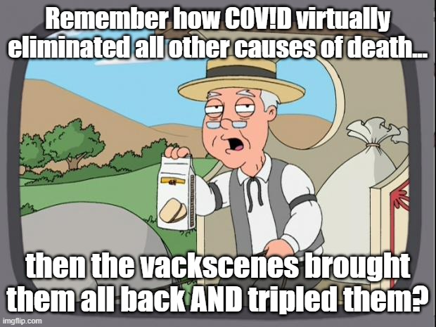 Pepridge farms | Remember how C0V!D virtually eliminated all other causes of death... then the vackscenes brought them all back AND tripled them? | image tagged in pepridge farms | made w/ Imgflip meme maker