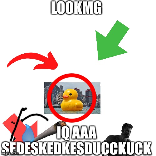 Du kiddevn. Huieefissi | LOOKMG; IQ AAA SEDESKEDKESDUCCKUCK | image tagged in memes,blank transparent square,everything,ducks,rubber ducks | made w/ Imgflip meme maker