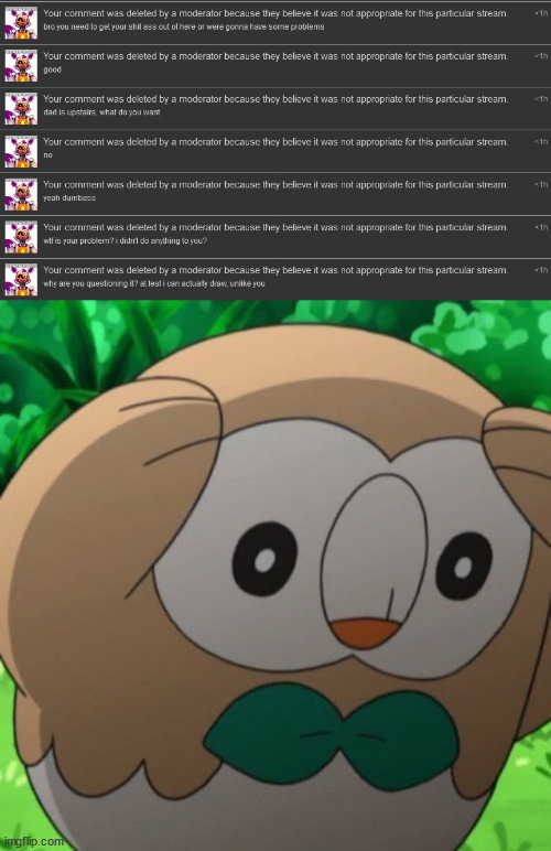 anti furry was in the furry stream | image tagged in rowlet meme template | made w/ Imgflip meme maker