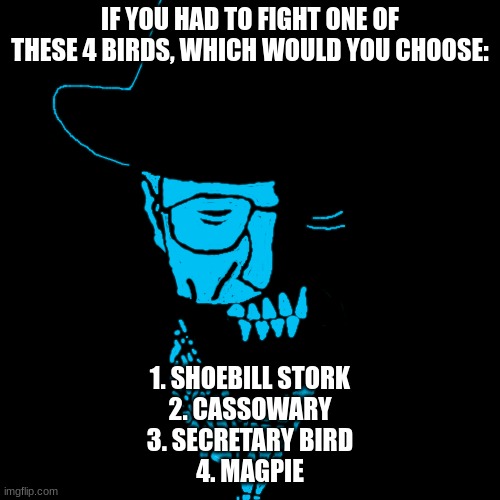 Starved Heisenberg | IF YOU HAD TO FIGHT ONE OF THESE 4 BIRDS, WHICH WOULD YOU CHOOSE:; 1. SHOEBILL STORK
2. CASSOWARY
3. SECRETARY BIRD
4. MAGPIE | image tagged in starved heisenberg | made w/ Imgflip meme maker