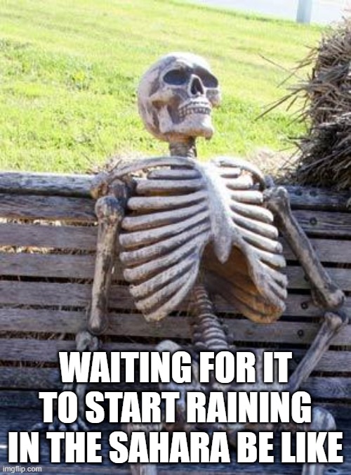 waiting for the rain be like... | WAITING FOR IT TO START RAINING IN THE SAHARA BE LIKE | image tagged in memes,waiting skeleton | made w/ Imgflip meme maker