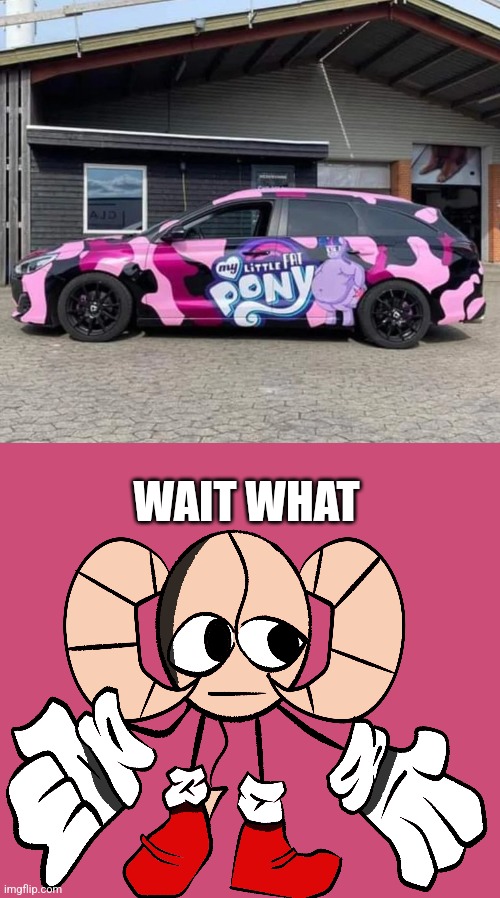 What the- | WAIT WHAT | image tagged in why | made w/ Imgflip meme maker