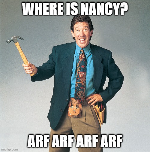 Police have their suspect in attack on Nancy Pelosi's husband | WHERE IS NANCY? ARF ARF ARF ARF | image tagged in memes,nancy pelosi,tim allen,home improvement,joe biden,democrats | made w/ Imgflip meme maker