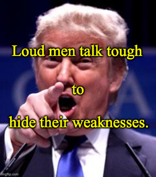 Trump Trademark | Loud men talk tough; to; hide their weaknesses. | image tagged in trump trademark | made w/ Imgflip meme maker