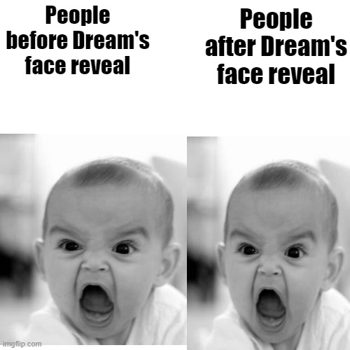 Bad meme | People after Dream's face reveal; People before Dream's face reveal | image tagged in angry baby | made w/ Imgflip meme maker