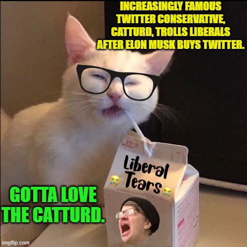 After Catturd complained that Twitter shadow-banned him Musk personally replied that he'd look into it. | INCREASINGLY FAMOUS TWITTER CONSERVATIVE, CATTURD, TROLLS LIBERALS AFTER ELON MUSK BUYS TWITTER. GOTTA LOVE THE CATTURD. | image tagged in catturd | made w/ Imgflip meme maker