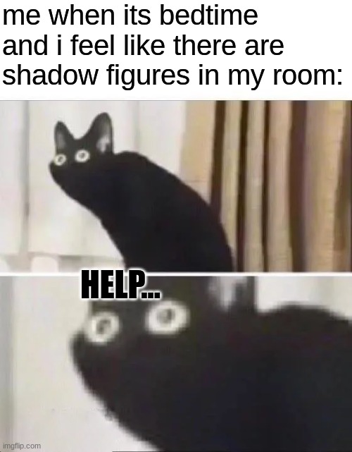 Oh No Black Cat | me when its bedtime and i feel like there are shadow figures in my room:; HELP... | image tagged in oh no black cat,funny,scary,cat,lol,goofy ahh | made w/ Imgflip meme maker