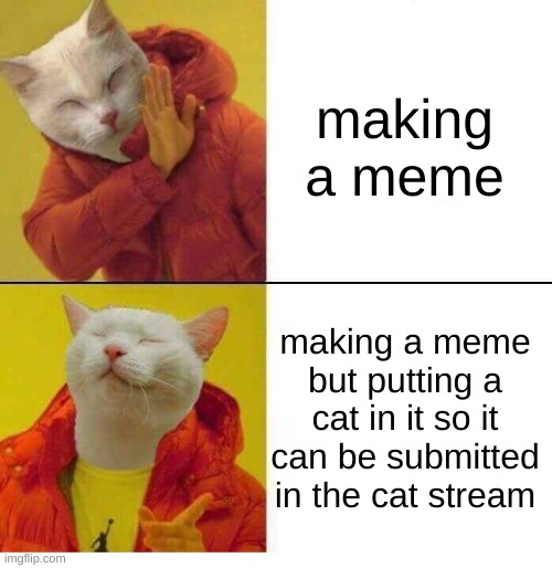 Yuo | making a meme; making a meme but putting a cat in it so it can be submitted in the cat stream | image tagged in cat drake | made w/ Imgflip meme maker
