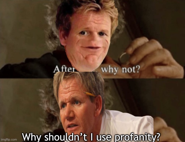 Why not | Why shouldn’t I use profanity? | image tagged in sosig,gordon ramsey mad,angry chef gordon ramsay,bilbo - why shouldn t i keep it | made w/ Imgflip meme maker