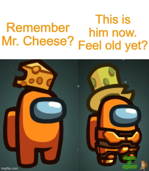 *Cheems Approved* Mr. Cheese then and now | This is him now. Feel old yet? Remember Mr. Cheese? Cheems of Approval | image tagged in blank white template | made w/ Imgflip meme maker
