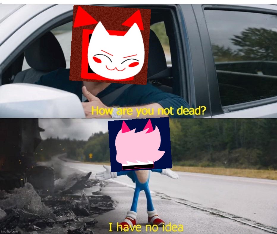 ReKiller after stabbing Rien in the heart for the 563738372063th time : | made w/ Imgflip meme maker
