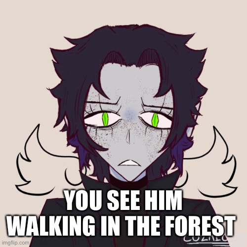 Don’t kill him, no oc rules, let’s see how this turns out :3 | YOU SEE HIM WALKING IN THE FOREST | image tagged in what have i become | made w/ Imgflip meme maker