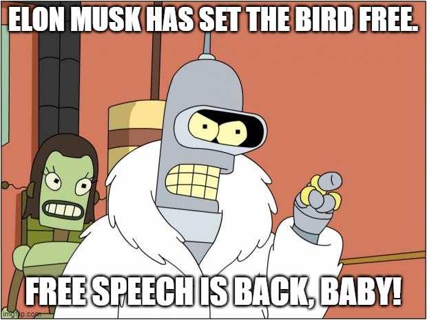 Bender Meme | ELON MUSK HAS SET THE BIRD FREE. FREE SPEECH IS BACK, BABY! | image tagged in bender,free speech | made w/ Imgflip meme maker