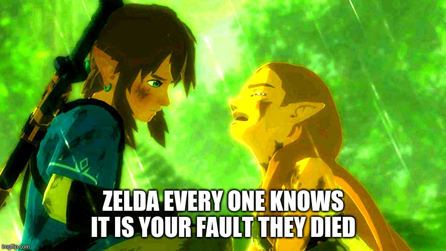 zelda got roasted | ZELDA EVERY ONE KNOWS IT IS YOUR FAULT THEY DIED | image tagged in legend of zelda | made w/ Imgflip meme maker