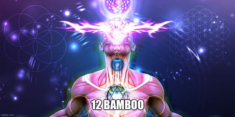 The Tactic to Surpass F1+F3 | 12 BAMBOO | image tagged in the tactic to surpass f1 f3 | made w/ Imgflip meme maker