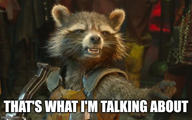 Rocket Raccoon | THAT'S WHAT I'M TALKING ABOUT | image tagged in rocket raccoon | made w/ Imgflip meme maker